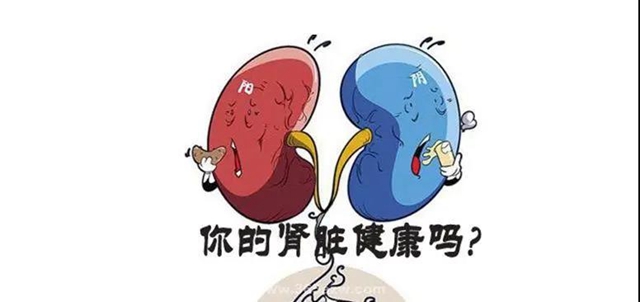 【擴散】關(guān)于尿毒癥，你到底了解多少？(圖3)