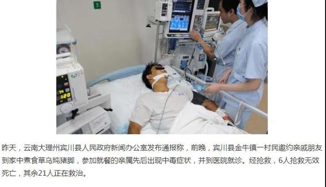 【注意】用烏頭類草藥泡水泡酒，一喝就死？