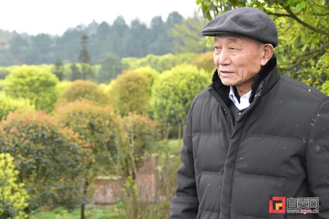 引來人民日?qǐng)?bào)關(guān)注！自貢八旬老人投資千萬開山造林(圖5)