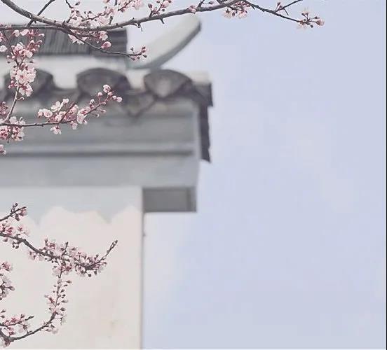 【春分】今天起，這3種食物不能再吃了！(圖5)