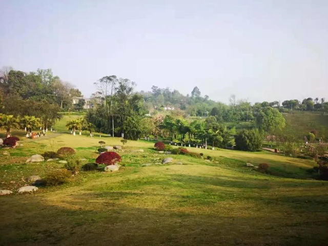 鄉(xiāng)村文化旅游丨瀘州城區(qū)這幾條鄉(xiāng)村旅游線路，你選哪個(gè)？(圖6)