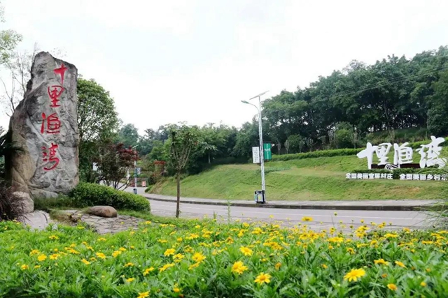 鄉(xiāng)村文化旅游丨瀘州城區(qū)這幾條鄉(xiāng)村旅游線路，你選哪個(gè)？(圖7)