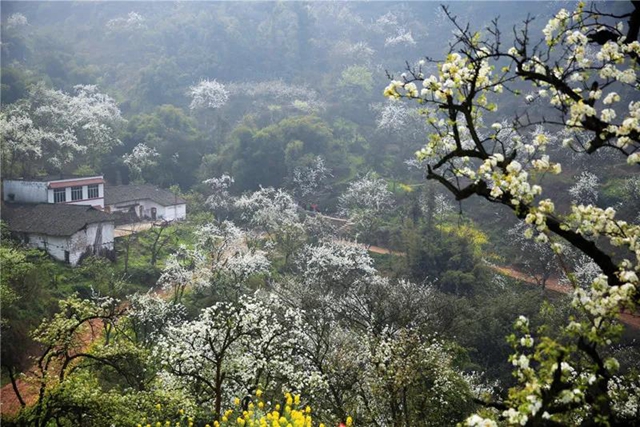 鄉(xiāng)村文化旅游丨瀘州城區(qū)這幾條鄉(xiāng)村旅游線路，你選哪個(gè)？(圖4)