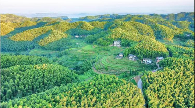鄉(xiāng)村文化旅游丨瀘州城區(qū)這幾條鄉(xiāng)村旅游線路，你選哪個(gè)？(圖15)