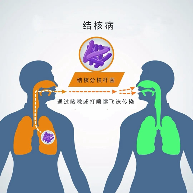 【提醒】魯迅、契訶夫……多位名人因它去世，一人感染，多人遭殃？(圖6)