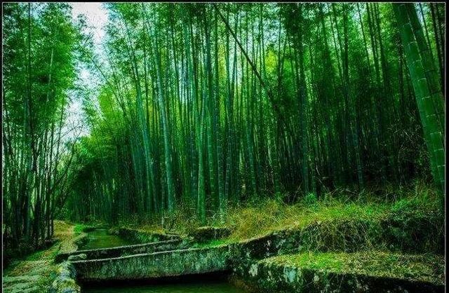 【關(guān)注】突發(fā)胃出血，因吃了瀘州人最近愛吃的這樣?xùn)|西？