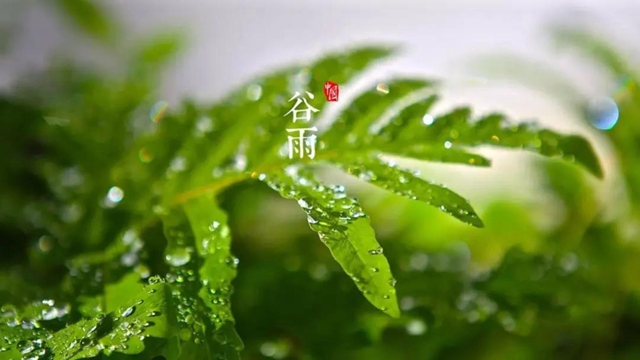 【擴散】今天起，要多吃這些食物？