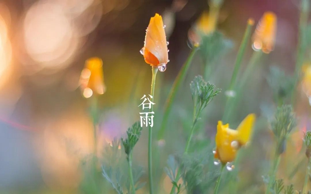 【擴(kuò)散】今天起，要多吃這些食物？(圖4)
