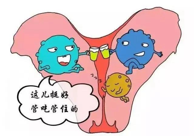 【關(guān)注】女性私處的秘密？別害羞！(圖5)