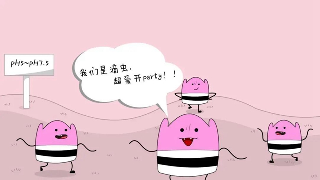 【關(guān)注】女性私處的秘密？別害羞！(圖6)