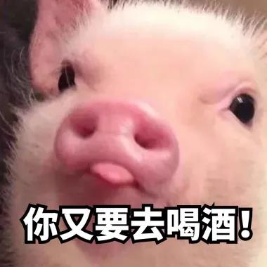 “五一”假期，如何練酒量？(圖2)