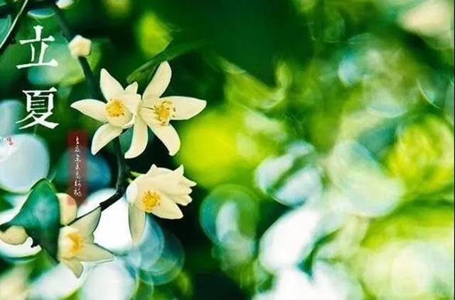 立夏了！今日起多吃5種食物(圖7)
