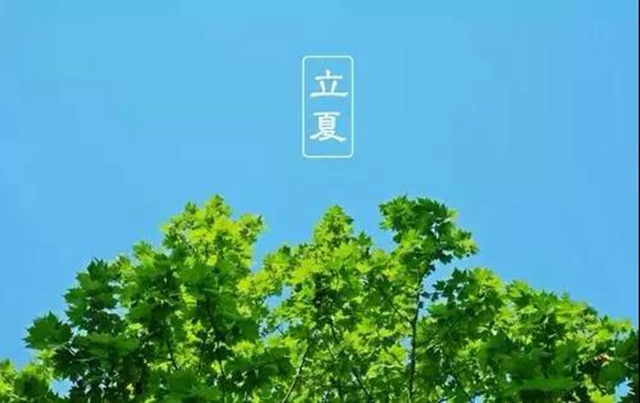 立夏了！今日起多吃5種食物(圖5)