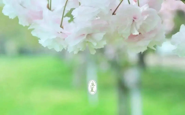 立夏了！今日起多吃5種食物(圖6)