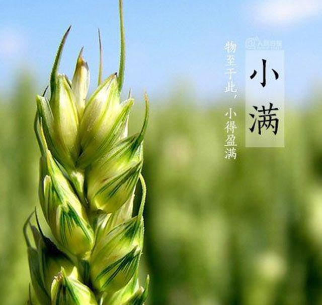 【提醒】今日起，千萬別吃這三類食物(圖2)