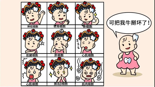 奇了怪了！“銀行”竟用來(lái)存牙齒，原因讓人驚喜(圖4)