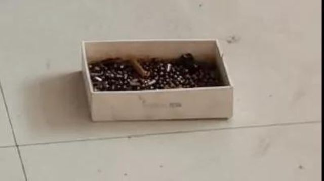 瀘州小伙自制槍支并配有“消音器”，大膽拿到戶(hù)外測(cè)試……(圖7)