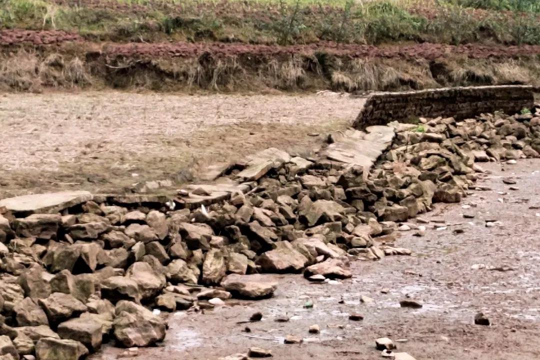 陽光問廉后，瀘縣福集鎮(zhèn)這些村（社區(qū)）“一把手”被約談(圖5)