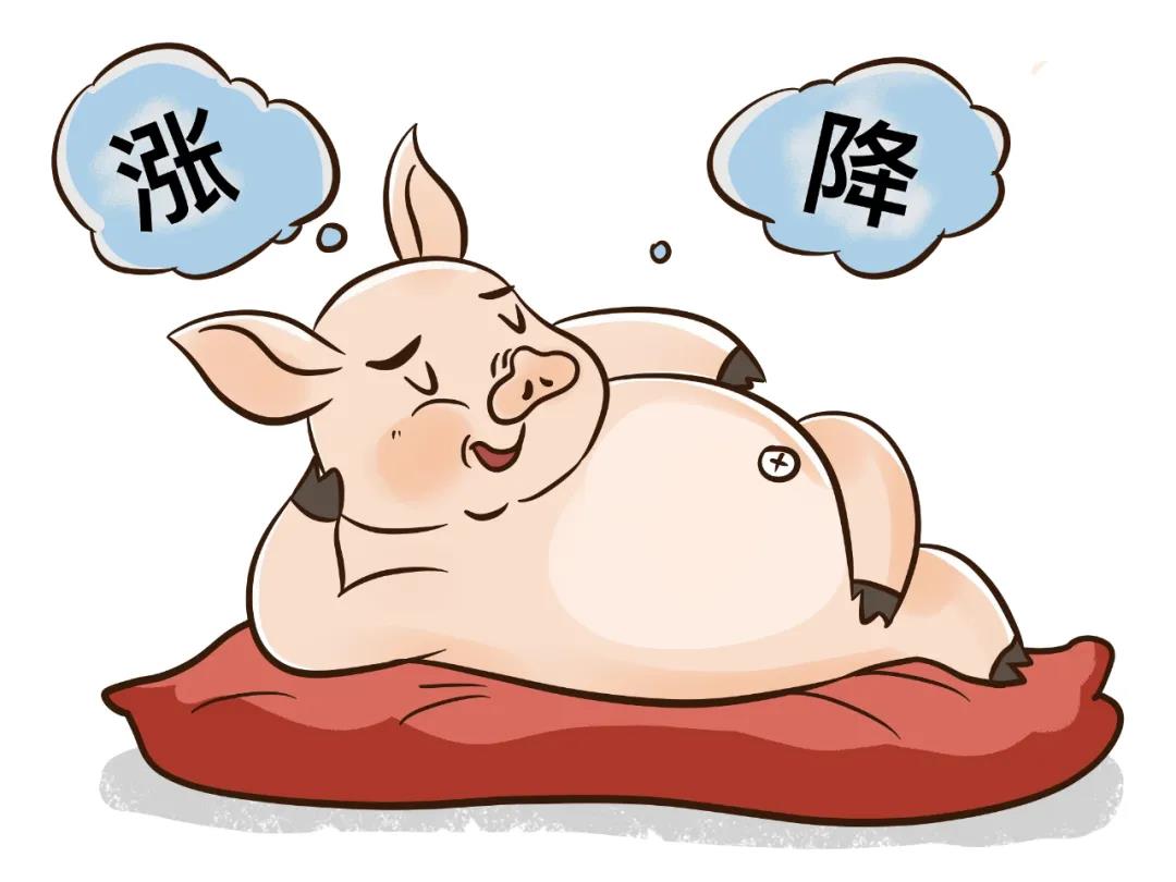 產能恢復超預期，生豬養(yǎng)殖盈利遇雙向擠壓(圖2)