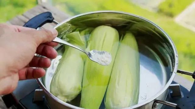 【實(shí)用】煮玉米只加水是外行！多放2種料，又甜又糯！(圖5)
