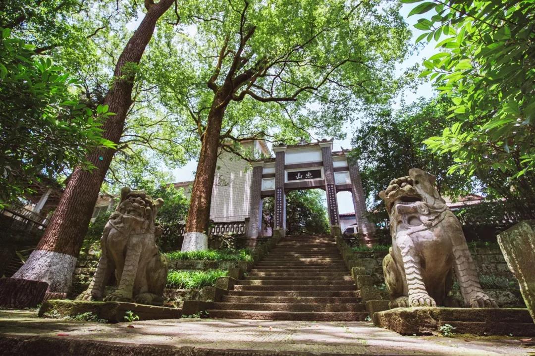 【圍觀】瀘州市忠山新路標，好颯！(圖3)