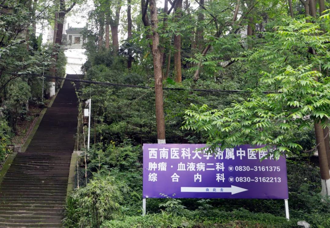 【圍觀】瀘州市忠山新路標，好颯！(圖7)