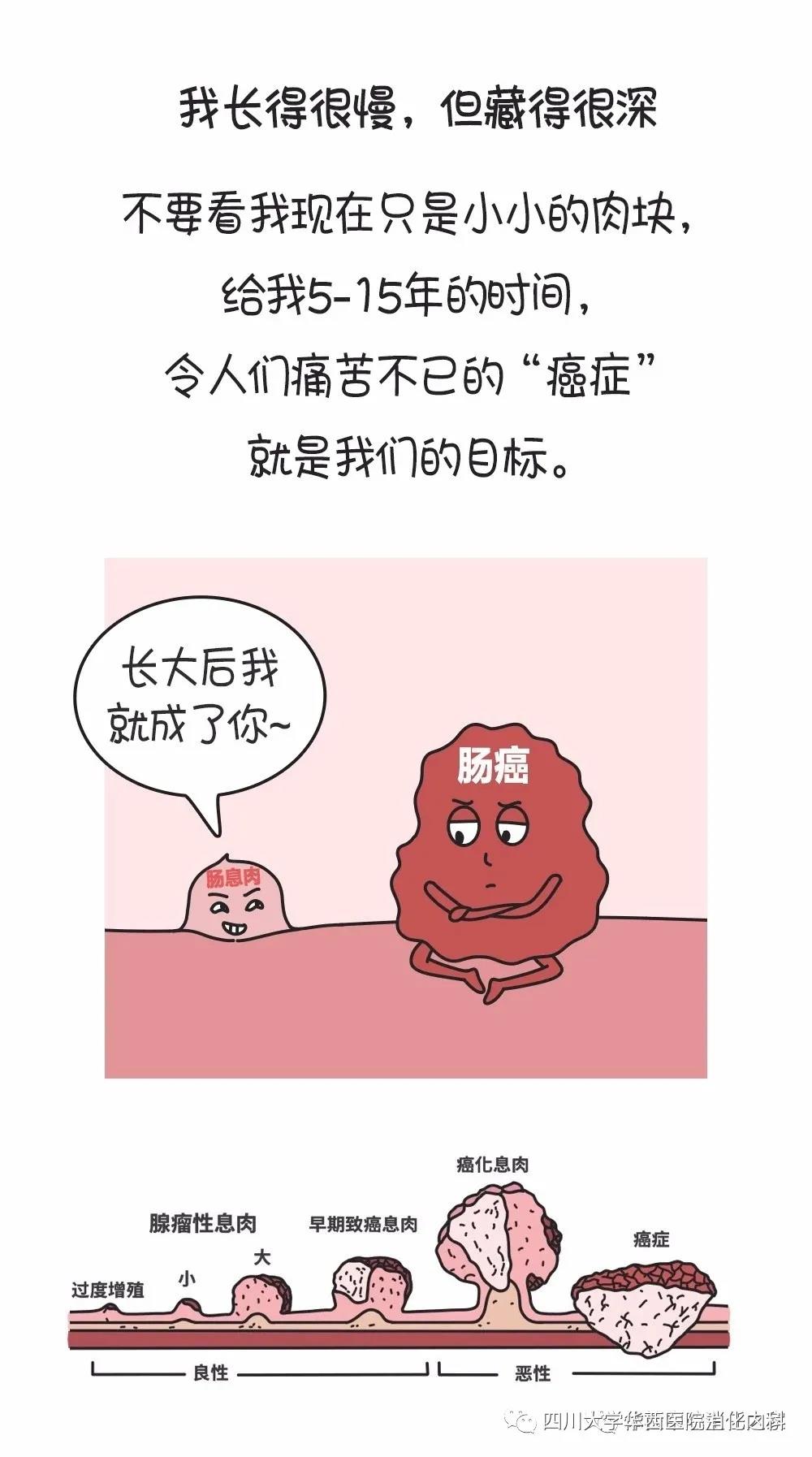 有些息肉，給它足夠的時間，遲早會癌變(圖3)