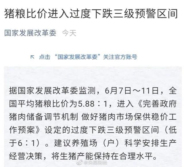 國家發(fā)改委發(fā)出生豬價格有關(guān)預(yù)警，意味著什么？(圖1)