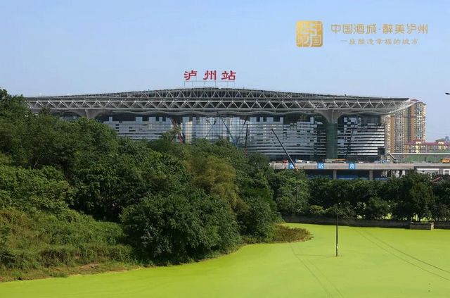 【擴(kuò)散】近50人從成都坐高鐵到瀘州啦！坐高鐵會(huì)暈車嗎？(圖9)
