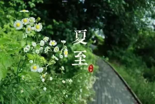 【夏至】今天開始，多吃“苦味”食物！(圖4)