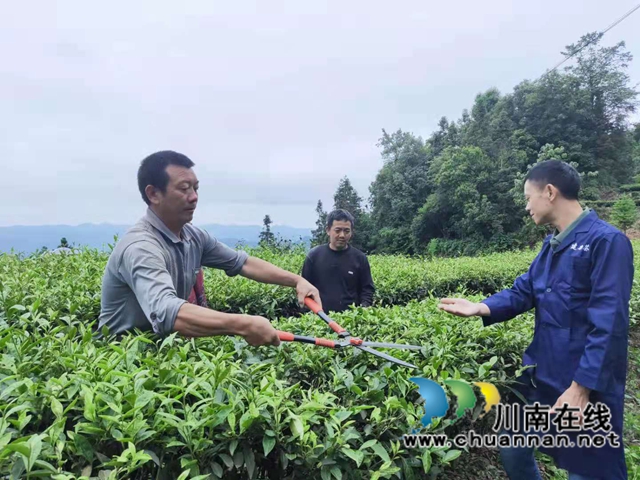 古藺鄉(xiāng)賢人士吳興杰：退伍不褪色，帶領群眾致富奔小康(圖4)