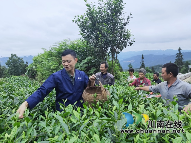 古藺鄉(xiāng)賢人士吳興杰：退伍不褪色，帶領群眾致富奔小康(圖3)