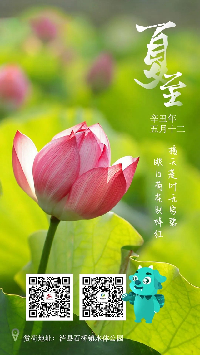 收好這份瀘州寶藏清涼打卡地指南！(圖1)