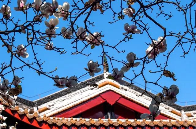 敘永：“秀”色可餐 “味”你而來(lái)！網(wǎng)紅打卡來(lái)了！(圖3)