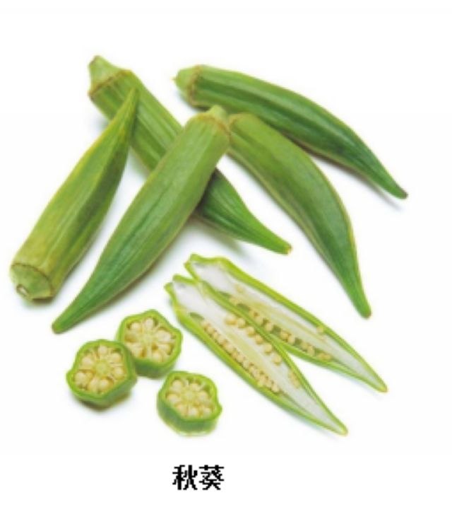 曼陀羅、滴水觀音、化兒草……四川夏季常見有毒植物食物中毒預(yù)防(圖8)