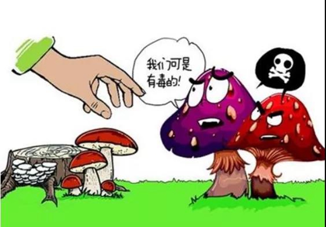 7月，瀘州市民要關(guān)注這些疾??！(圖3)