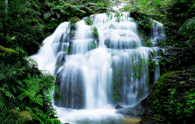 驚險(xiǎn)刺激！宜賓這兩個(gè)4A景區(qū)上新啦！飛拉達(dá)、高空飛人、叢林穿越……約起！(圖37)