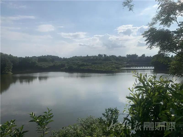 湖光山色兩相和，內(nèi)江這處“寶藏”湖泊太適合夏天出游！(圖1)