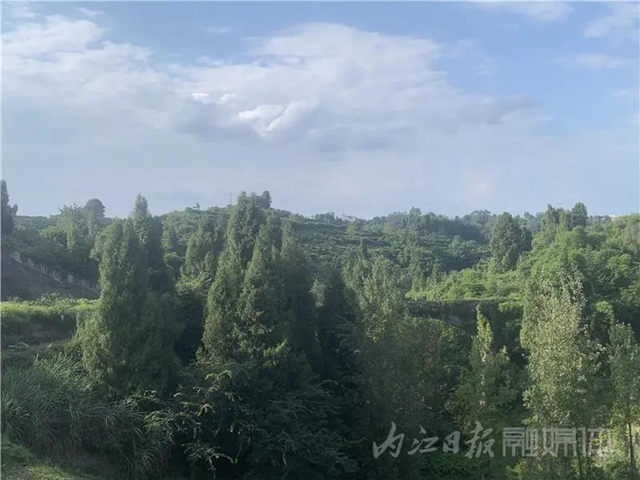 湖光山色兩相和，內(nèi)江這處“寶藏”湖泊太適合夏天出游！(圖8)