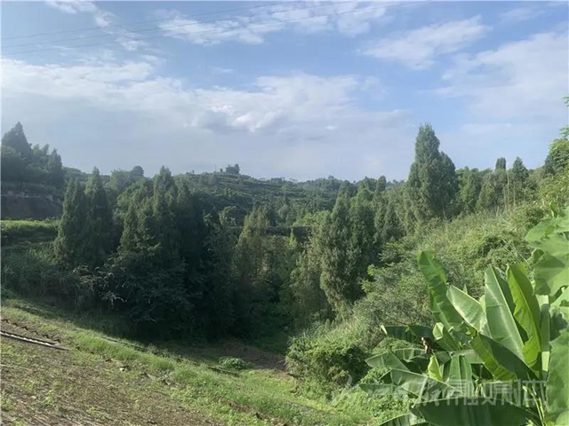 湖光山色兩相和，內(nèi)江這處“寶藏”湖泊太適合夏天出游！(圖9)
