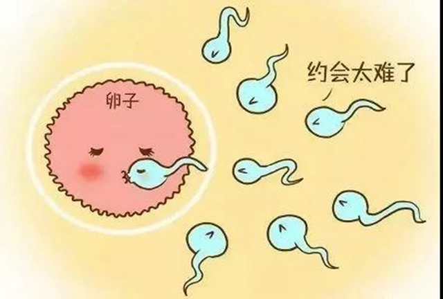 【關(guān)注】瀘州夫妻婚后三年未孕！檢查前一天，出啥事了？(圖6)