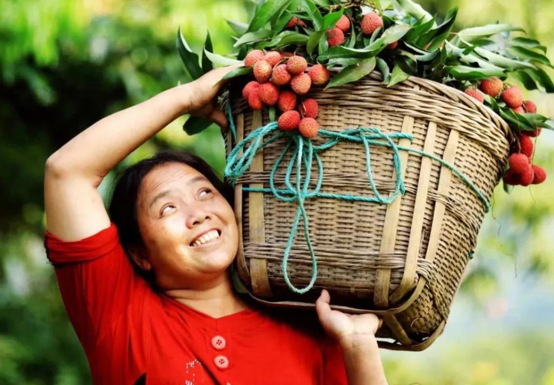 【擴(kuò)散】合江荔枝來(lái)了！300架無(wú)人機(jī)炫酷助陣(圖5)
