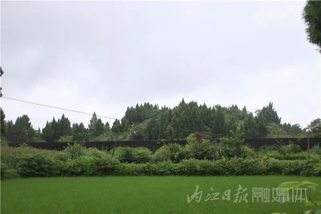 內(nèi)江又一地方入選省級(jí)重點(diǎn)旅游村！來看看是哪里(圖16)