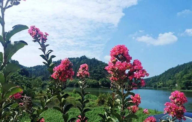 避暑納涼去哪里？敘永這些“避暑勝地”給你一個(gè)清涼之夏！(圖8)