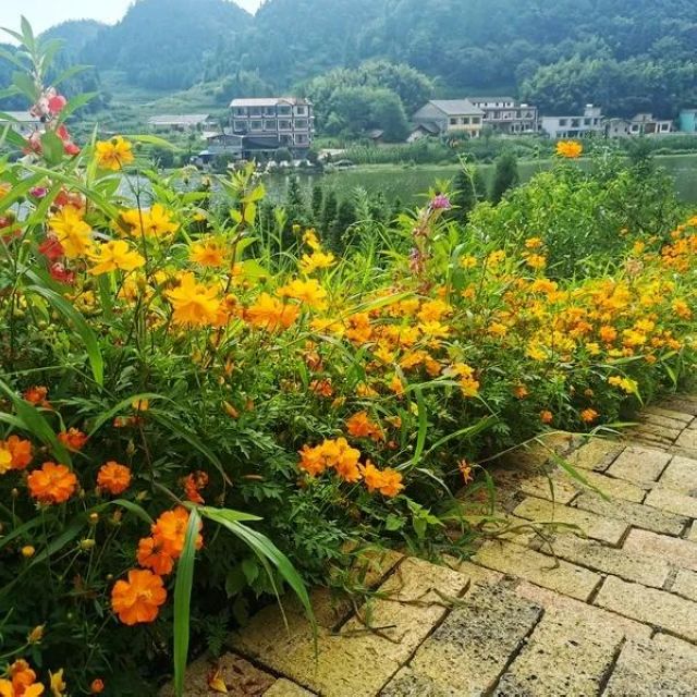 避暑納涼去哪里？敘永這些“避暑勝地”給你一個(gè)清涼之夏！(圖6)