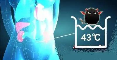 【關(guān)注】43℃高溫下，被燙死了……(圖6)