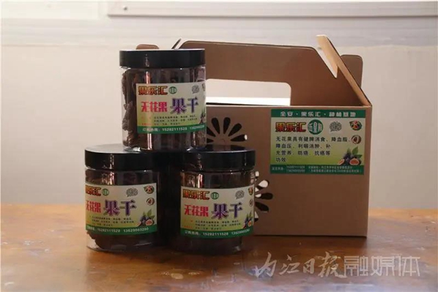 都熟啦！內(nèi)江這里，有一大片無(wú)花果林(圖2)