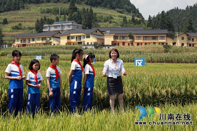 敘永摩尼鎮(zhèn)新苗實(shí)驗(yàn)學(xué)校校長李修會(huì)：忠誠執(zhí)著守初心，無私奉獻(xiàn)擔(dān)使命(圖2)