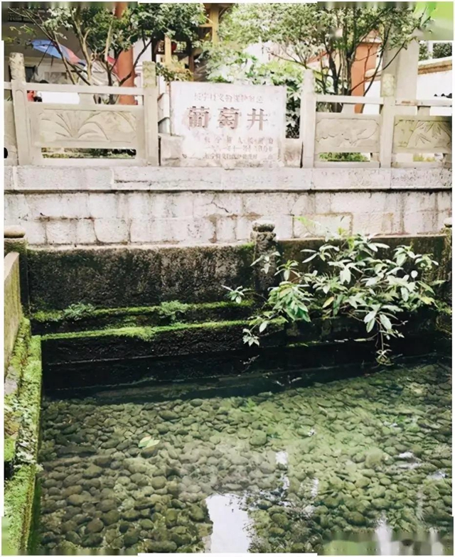 有你愛吃的嗎？100道最具代表性的川菜，宜賓這些美食上榜！(圖16)