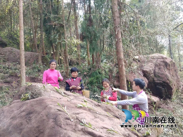 合江縣先灘鎮(zhèn)梨樹塆村鄉(xiāng)賢人士李相金：一個(gè)讓山區(qū)石頭長出“金條”的“領(lǐng)頭雁”(圖3)